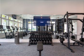 Free weights